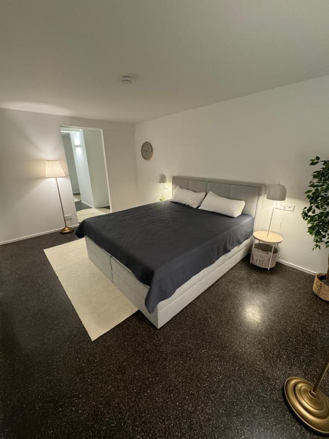 Isaak Appartment Stadtjuwel Вальдсхут-Тинген Экстерьер фото