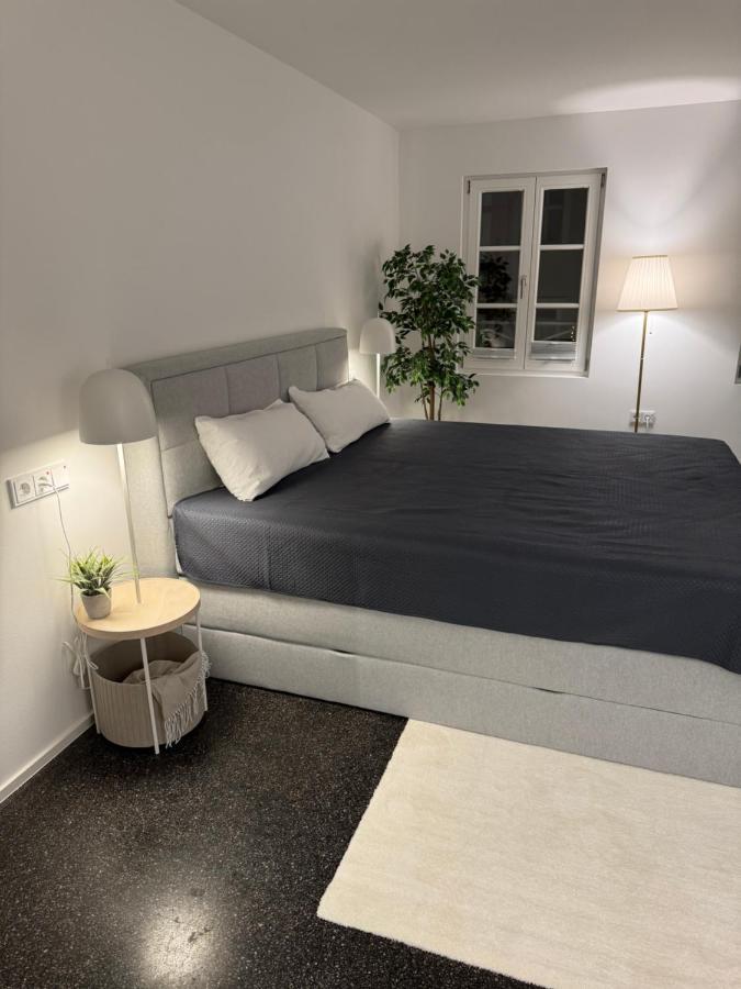 Isaak Appartment Stadtjuwel Вальдсхут-Тинген Экстерьер фото